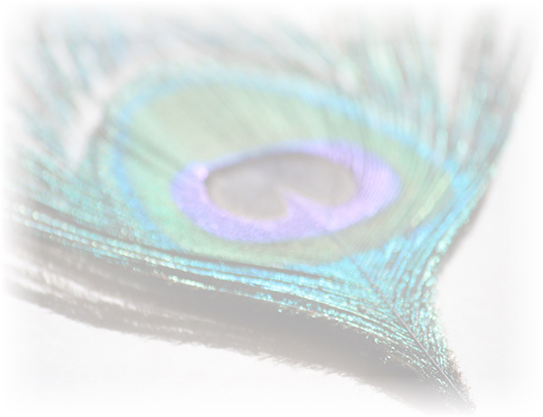 Law of Attraction Card - Image 3