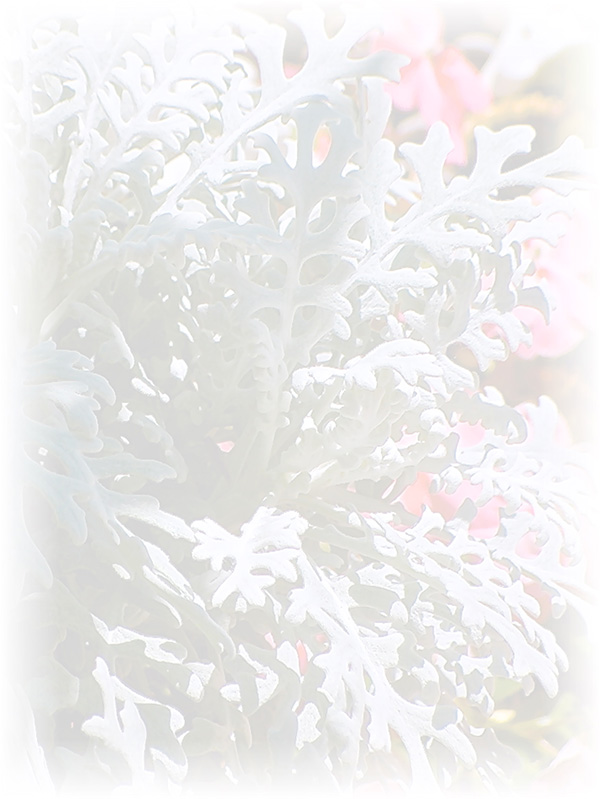 Law of Attraction Card - Image 3