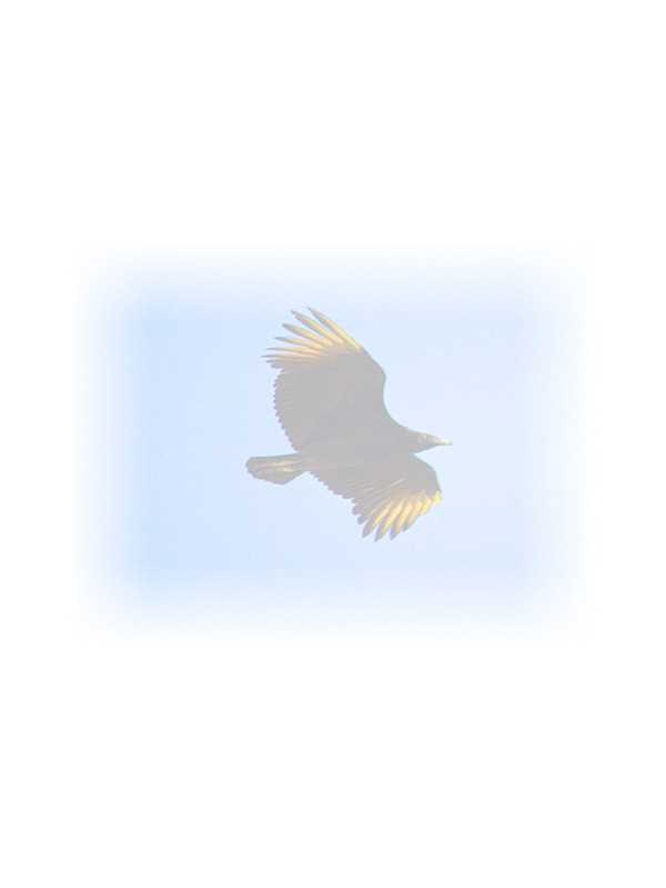 Law of Attraction Card - Image 3