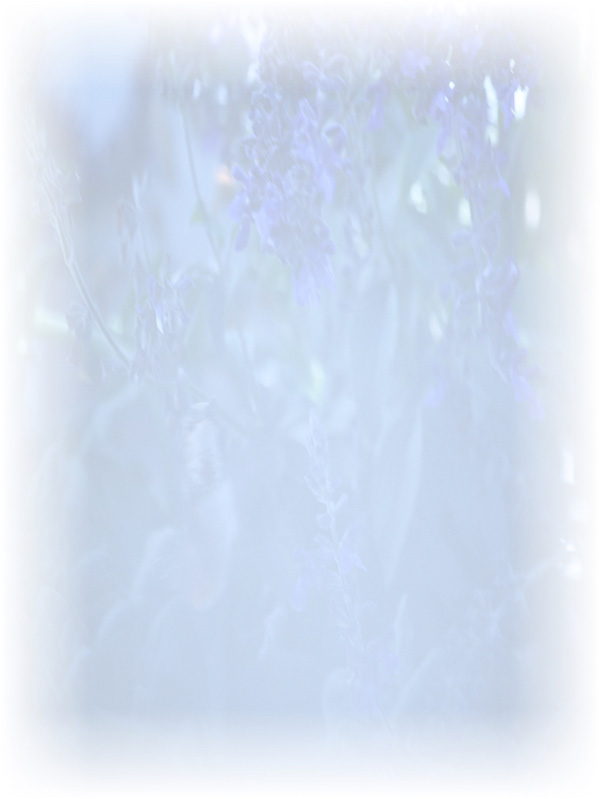 Law of Attraction Card - Image 3