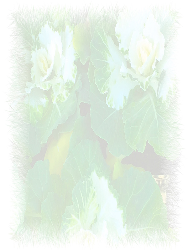 Law of Attraction Card - Image 3