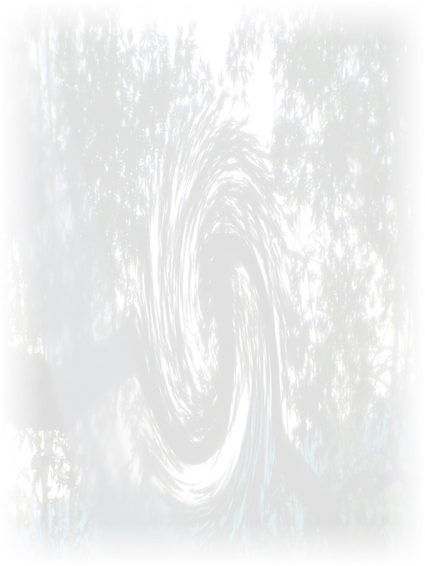 Law of Attraction Card - Image 3