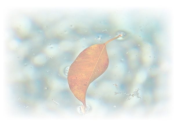 Law of Attraction Card - Image 3