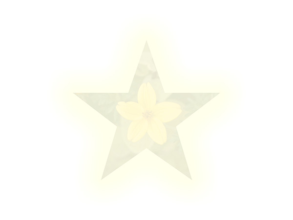 Law of Attraction Card - Image 3