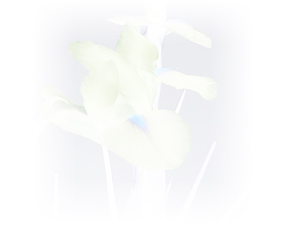 Law of Attraction Card - Image 3