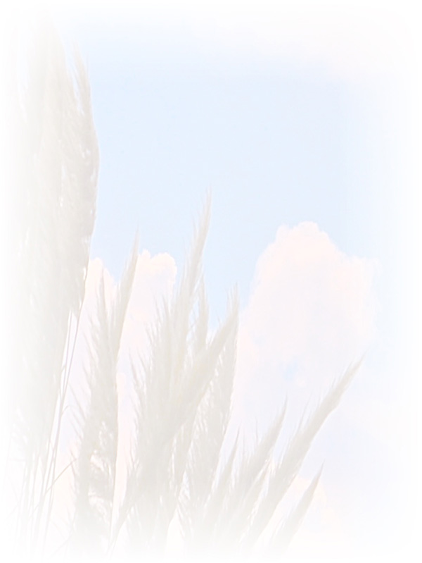 Law of Attraction Card - Image 3