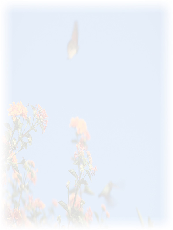 Law of Attraction Card - Image 3