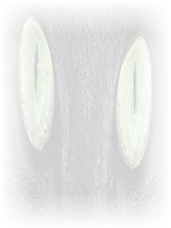 Law of Attraction Card - Image 3