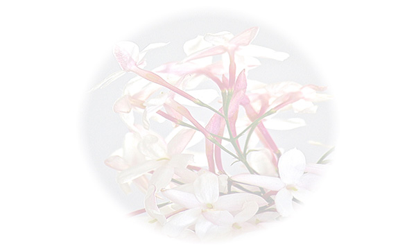 Law of Attraction Card - Image 3