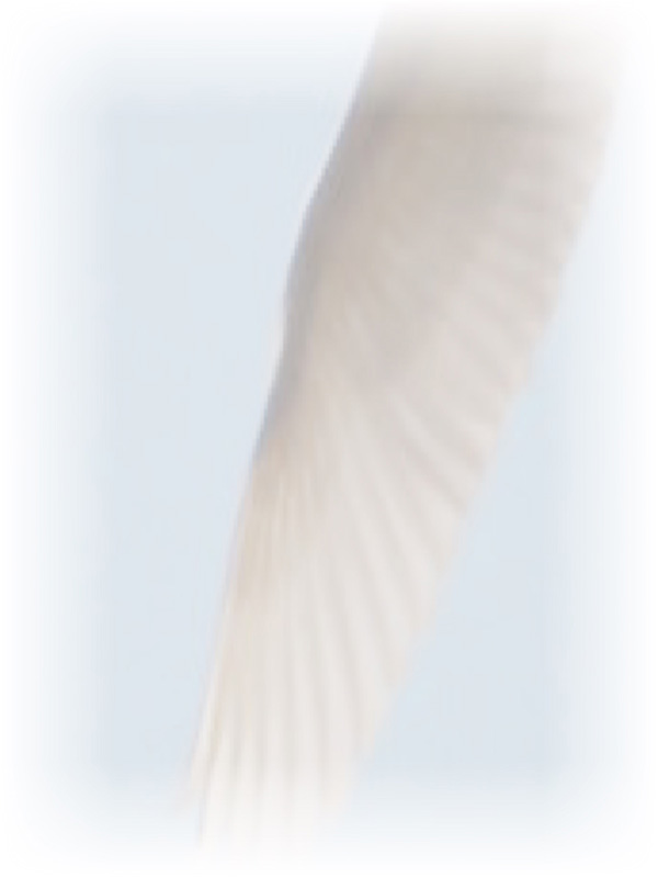 Law of Attraction Card - Image 3