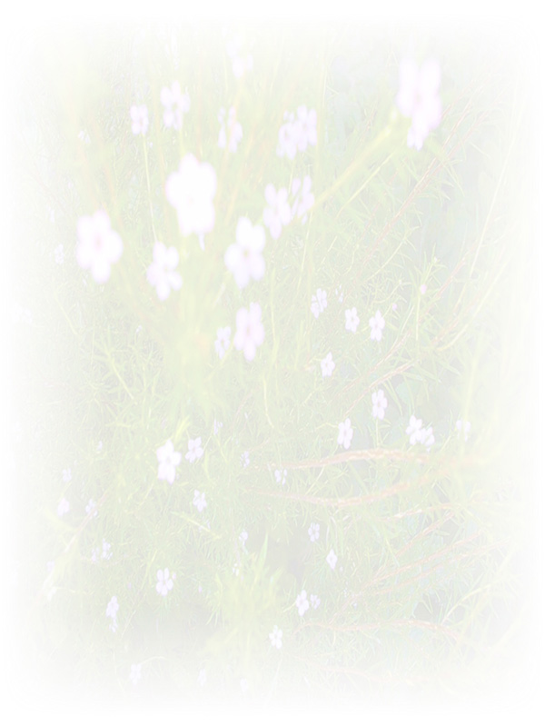 Law of Attraction Card - Image 3
