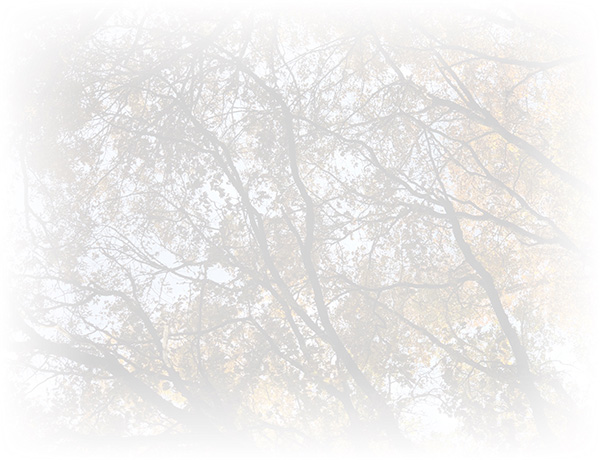 Law of Attraction Card - Image 3