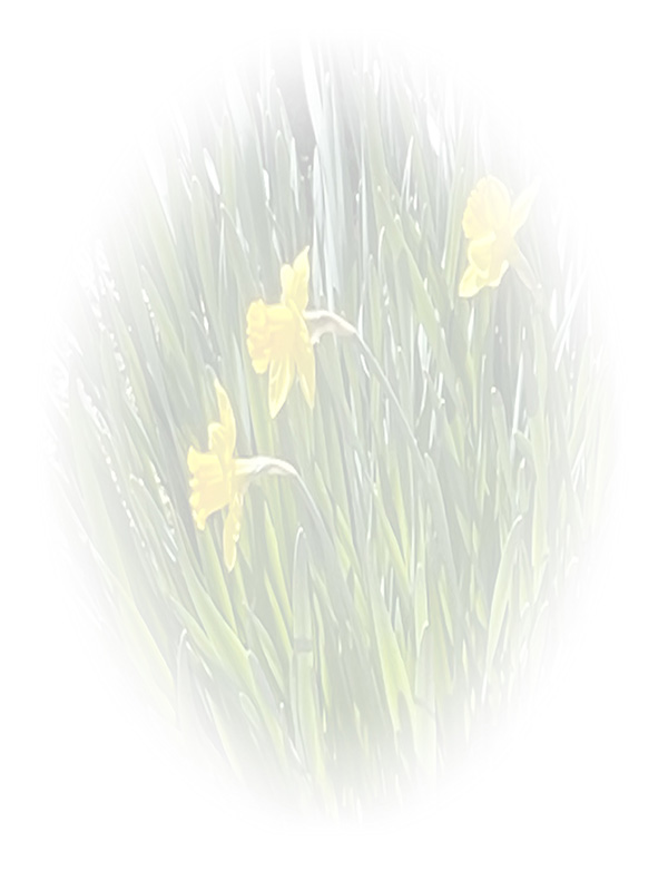 Law of Attraction Card - Image 3