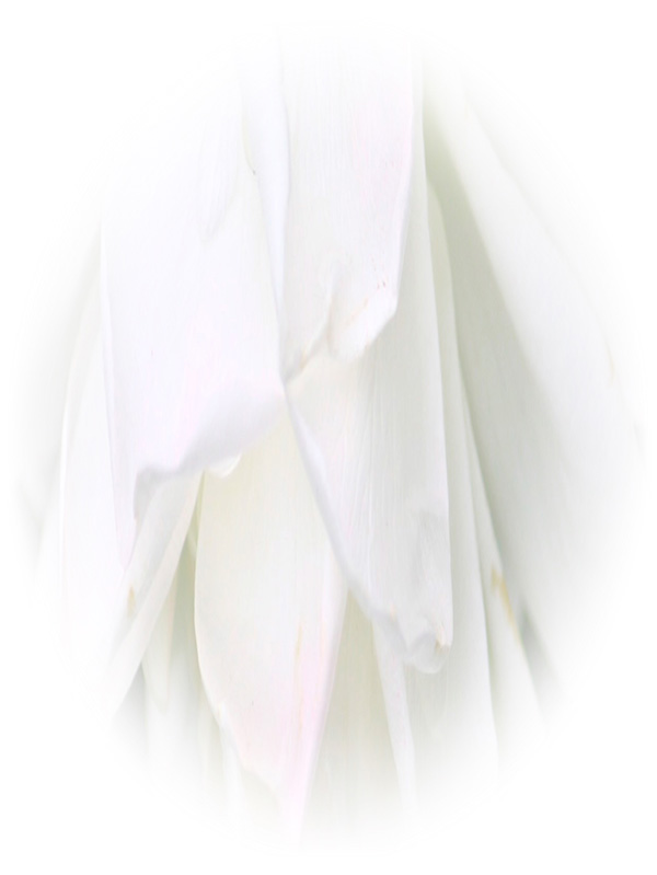 Law of Attraction Card - Image 3
