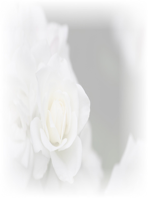 Law of Attraction Card - Image 3