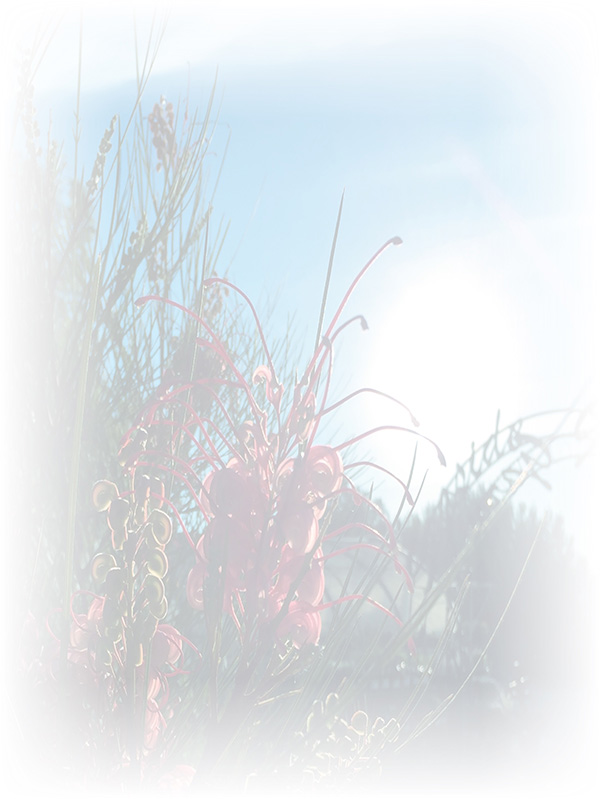 Law of Attraction Card - Image 3