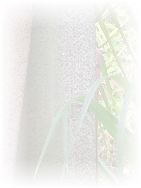 Law of Attraction Card - Image 3