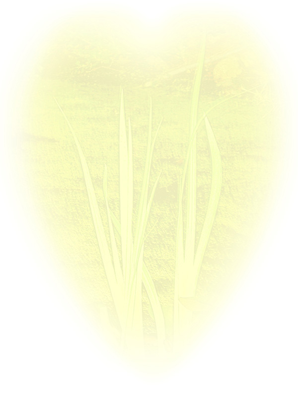 Law of Attraction Card - Image 3