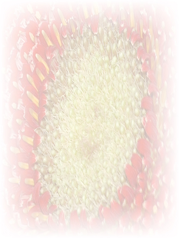 Law of Attraction Card - Image 3