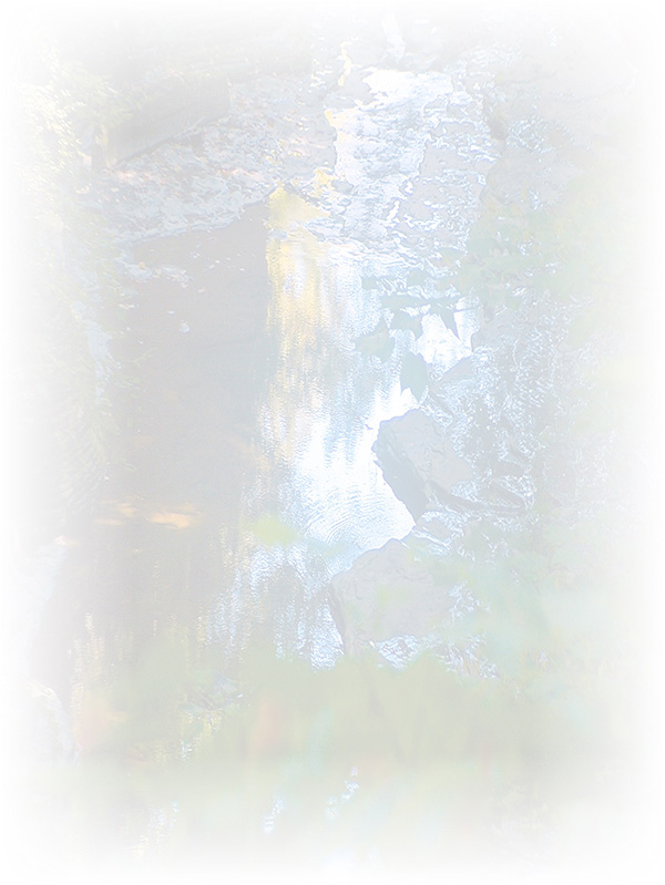 Law of Attraction Card - Image 3