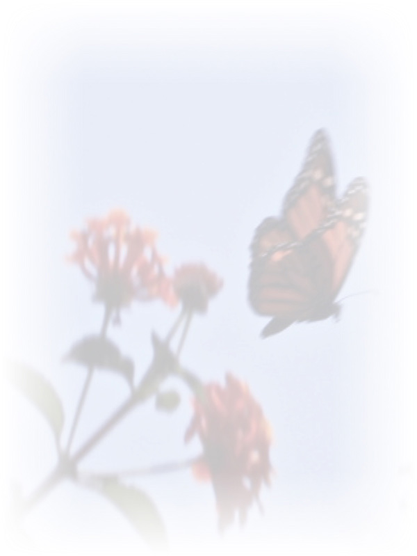 Law of Attraction Card - Image 3