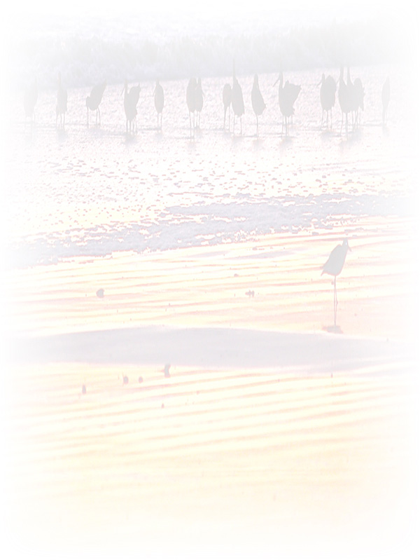 Law of Attraction Card - Image 3