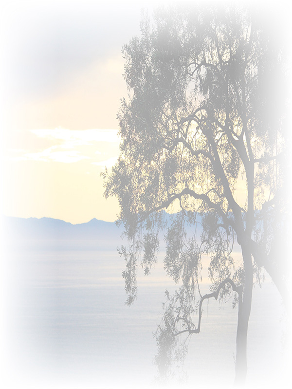Law of Attraction Card - Image 3