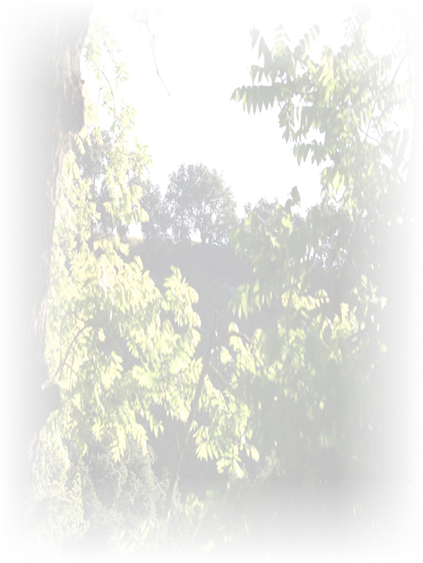 Law of Attraction Card - Image 3