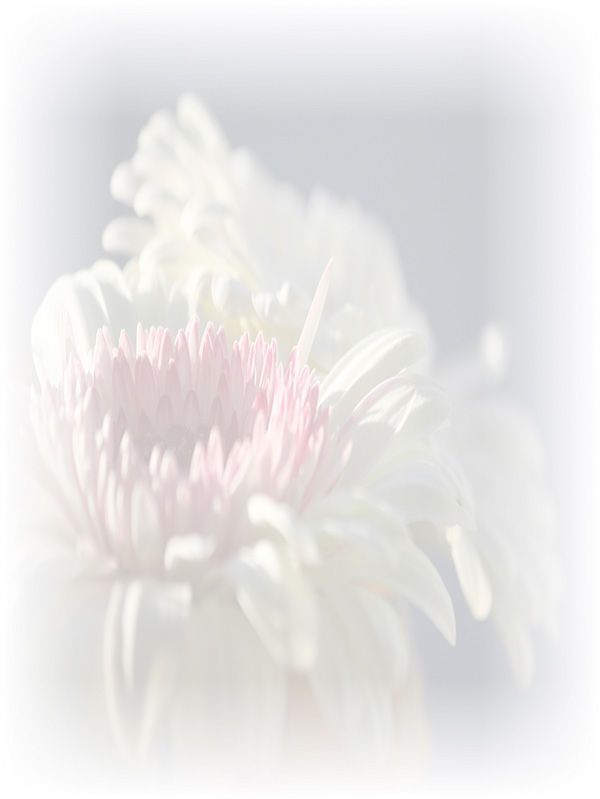 Law of Attraction Card - Image 3