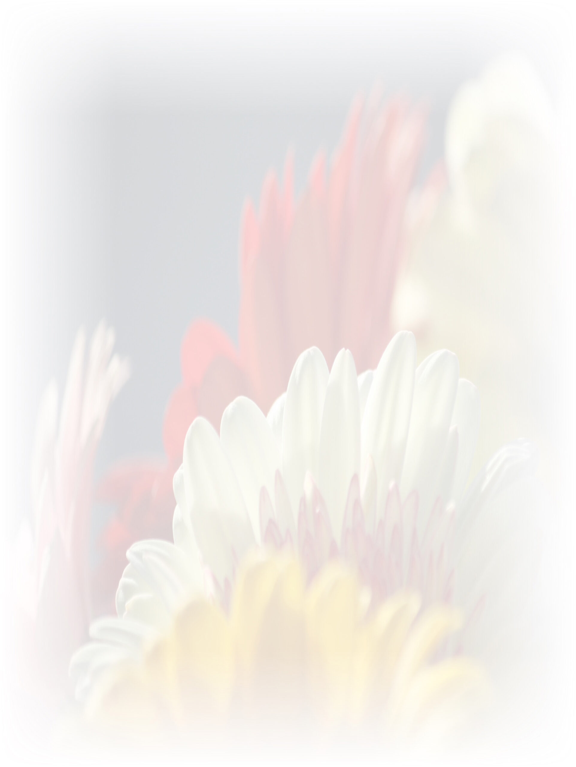Law of Attraction Card - Image 3