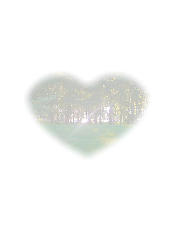 Law of Attraction Card - Image 3