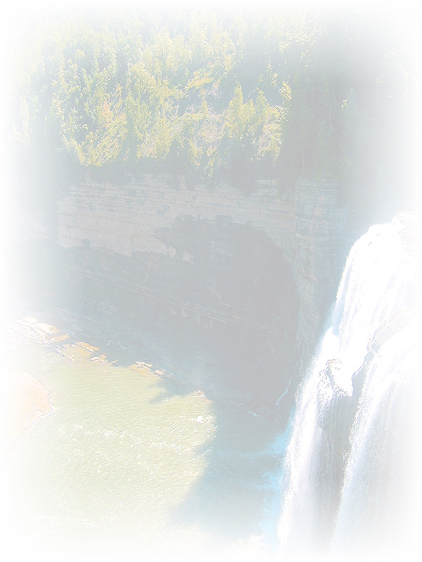 Law of Attraction Card - Image 3