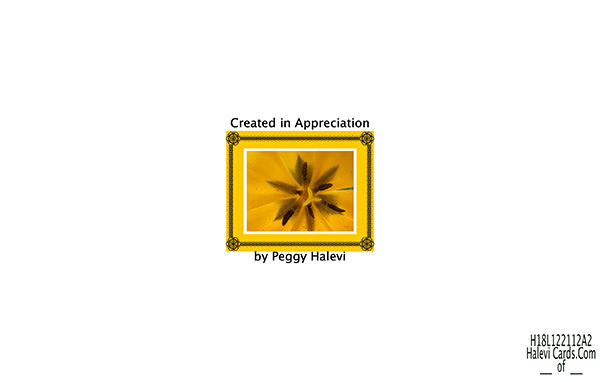 Law of Attraction Card - Image 2
