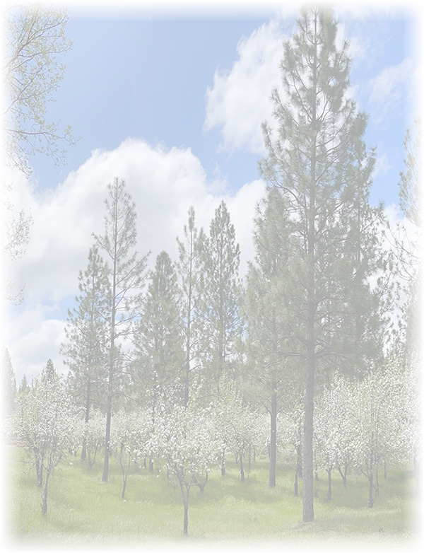Law of Attraction Card - Image 3