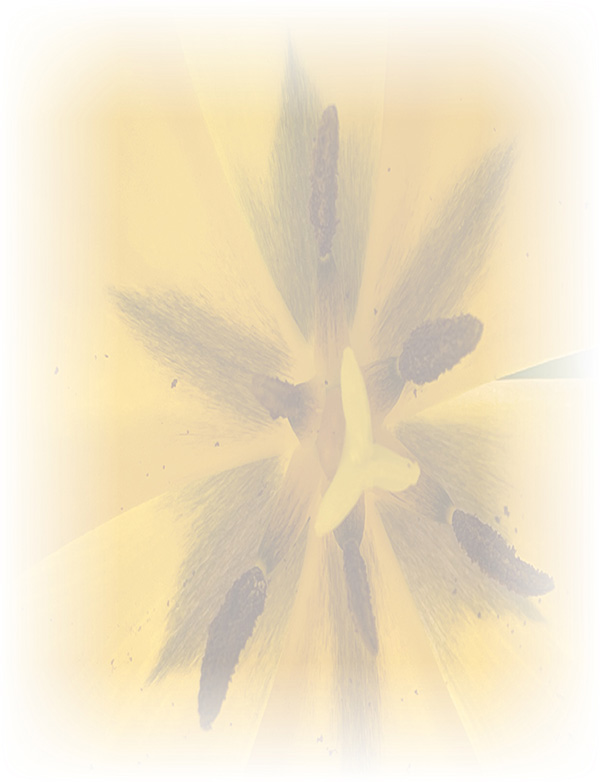 Law of Attraction Card - Image 3