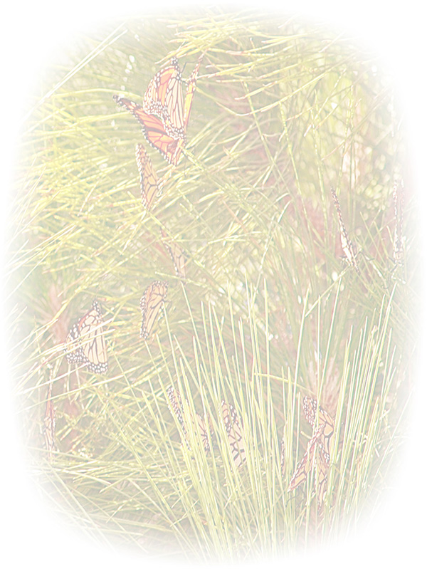 Law of Attraction Card - Image 3