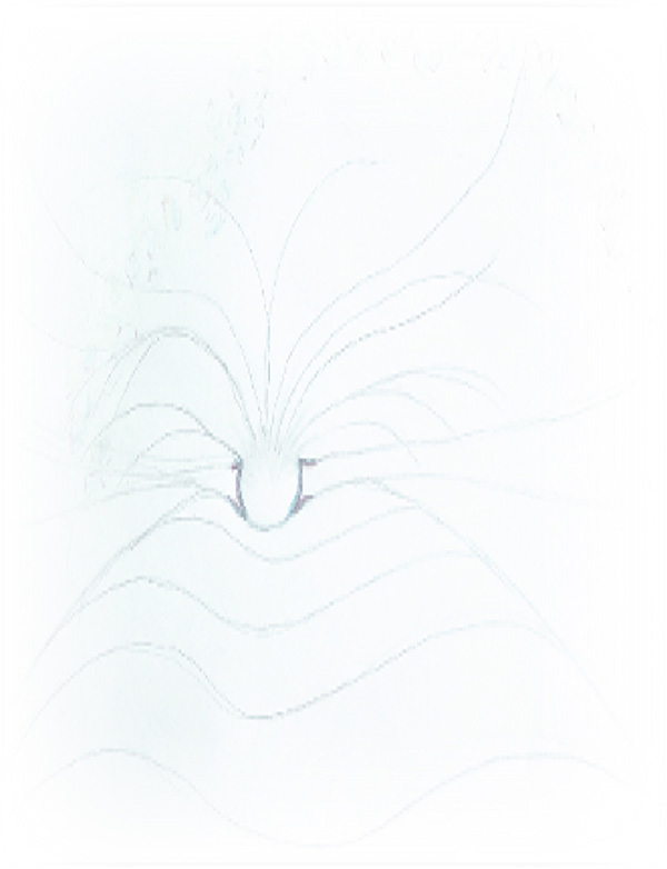 Law of Attraction Card - Image 3