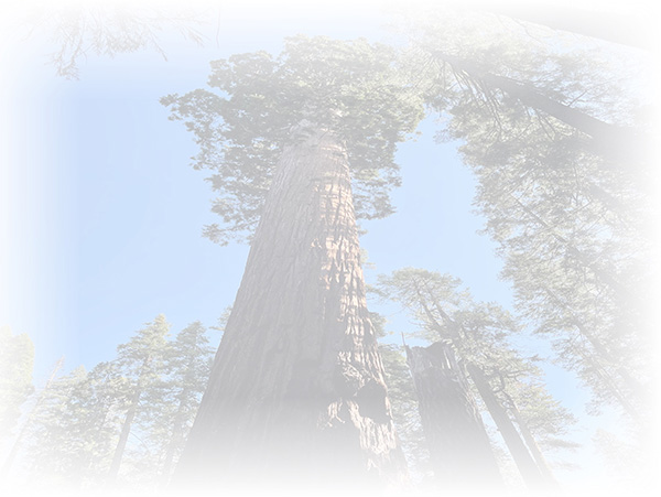 Law of Attraction Card - Image 3
