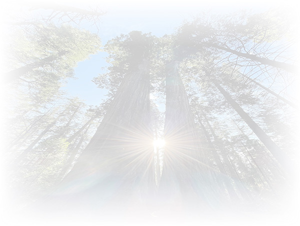 Law of Attraction Card - Image 3