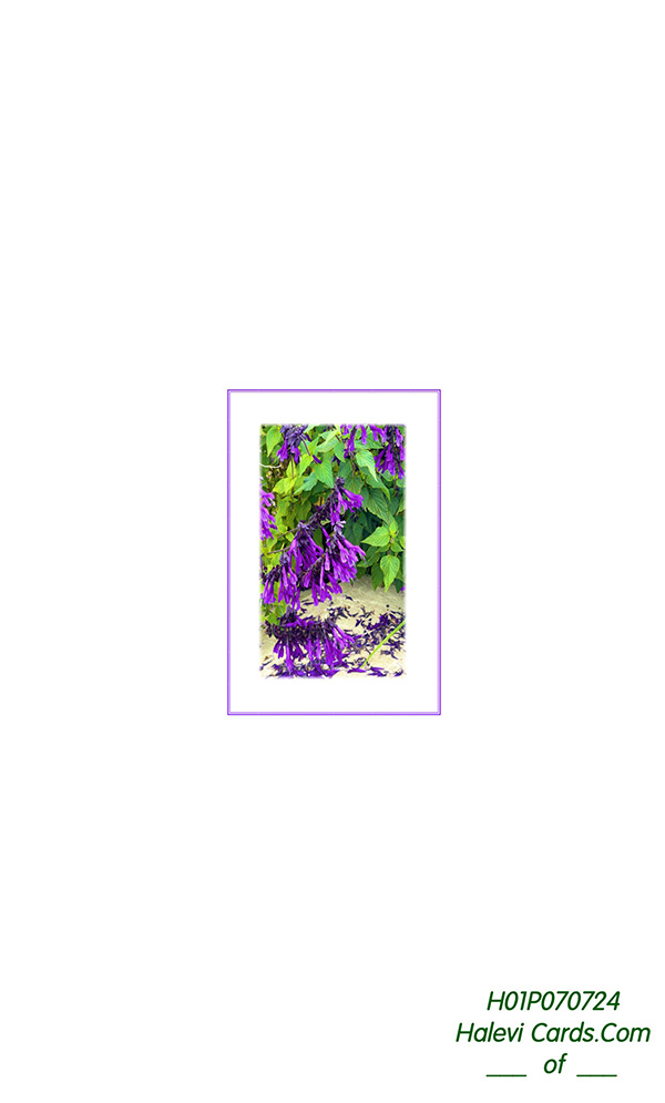 Law of Attraction Card - Image 2