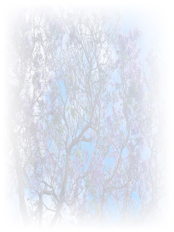 Law of Attraction Card - Image 3