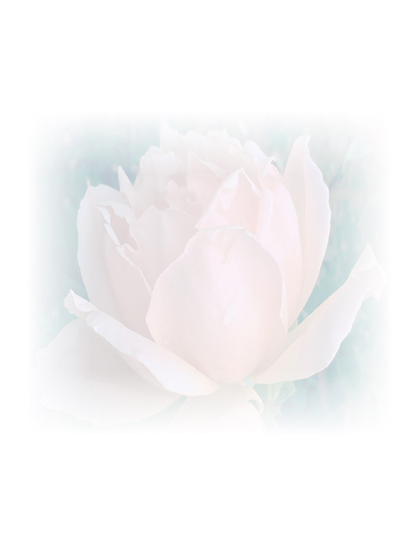 Law of Attraction Card - Image 3