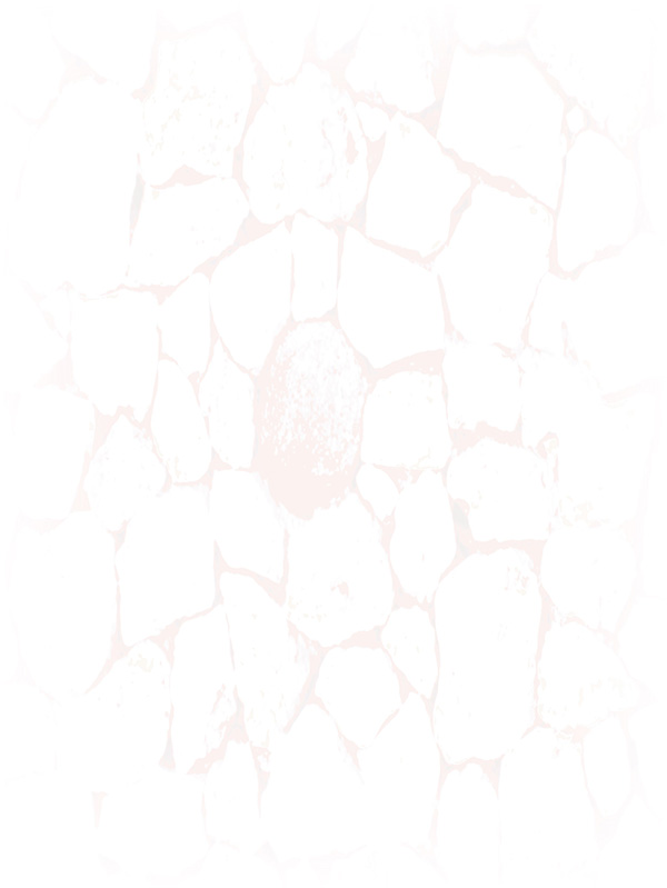 Law of Attraction Card - Image 3