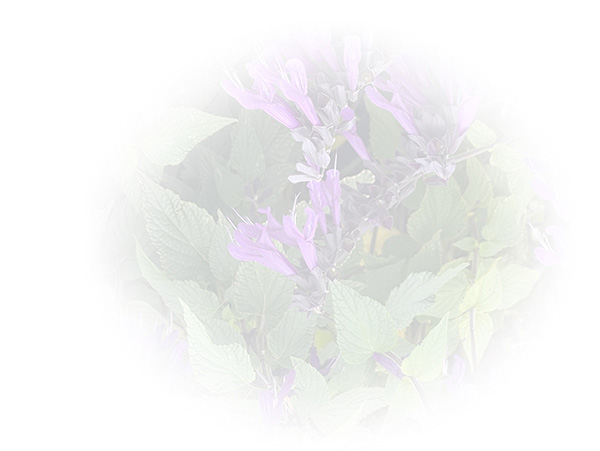 Law of Attraction Card - Image 3
