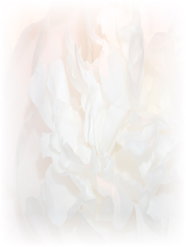 Law of Attraction Card - Image 3
