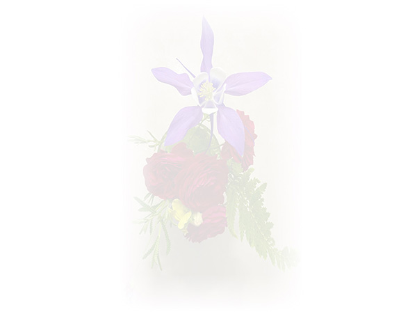 Law of Attraction Card - Image 3
