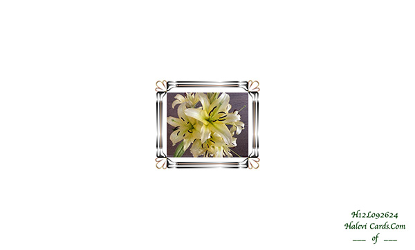 Law of Attraction Card - Image 2