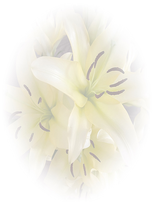 Law of Attraction Card - Image 3