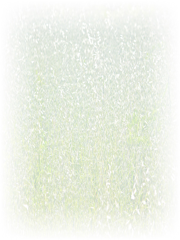 Law of Attraction Card - Image 3
