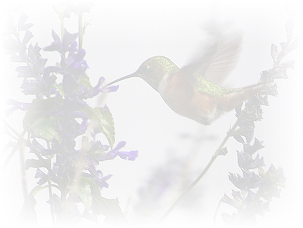 Law of Attraction Card - Image 3